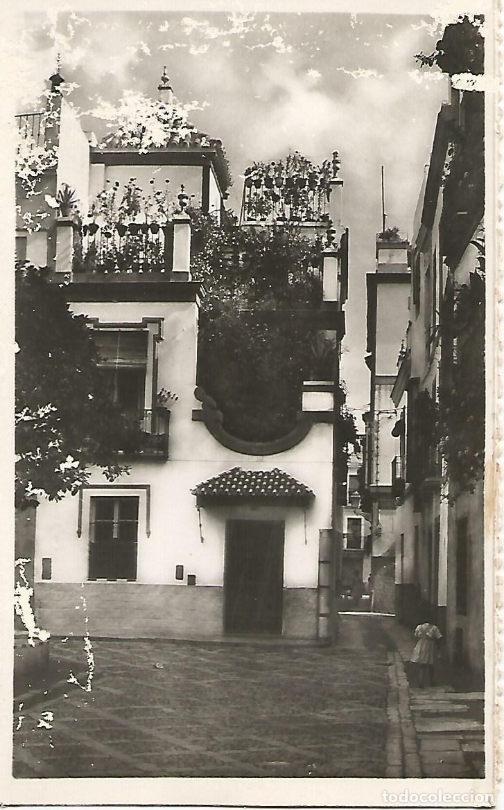 Postkarten: Postal 50825: SEVILLA - Plaza de Do&ntilde;a Elvira - Varios