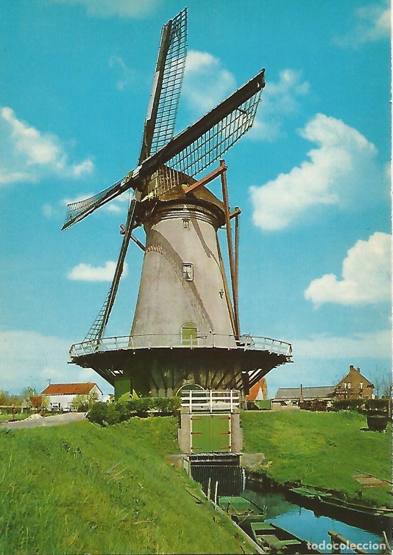 Postales: Postal 51363: ROTTERDAM - Molino - Varios - Foto 1