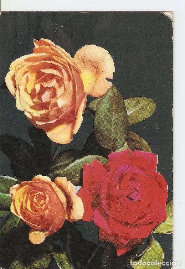 Postales: Postal 041373 : Rosas - Varios - Foto 1