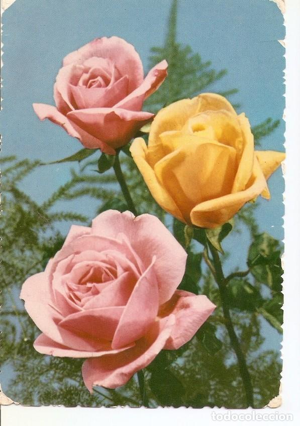 Postales: Postal 041585 : Rosas - Varios - Foto 1