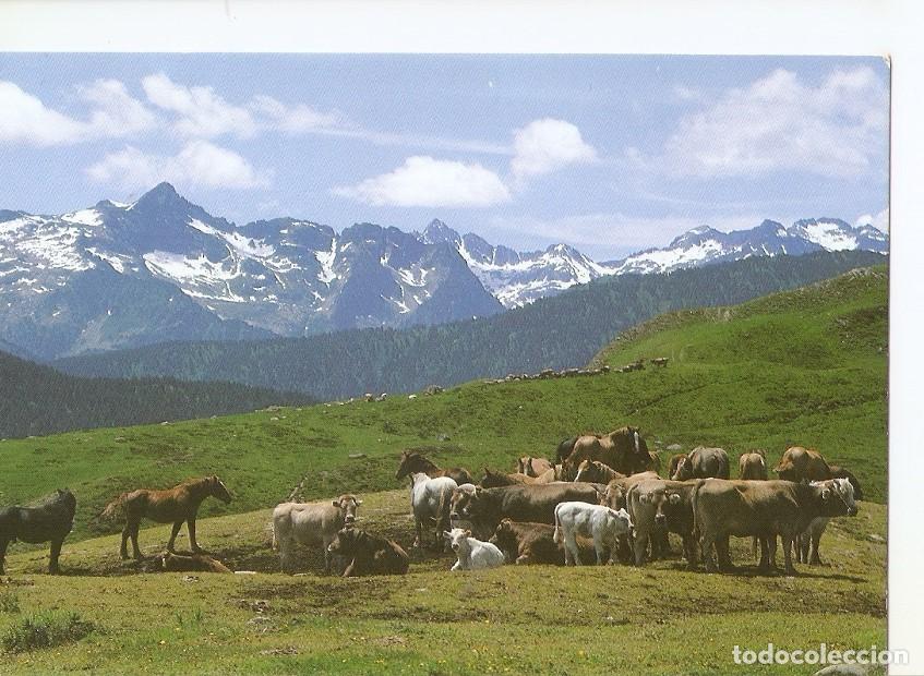 Postcards: Postal 042230 : Pla Beret (Orri). Val dAran (Lleida) - Varios