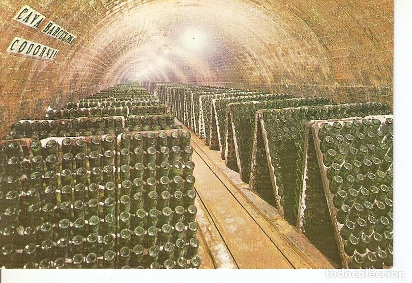 Postales: Postal 042775 : Cavas Codorniu - Botellas en pupitre - Varios