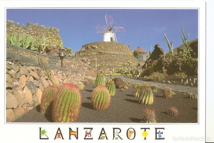 Postales: Postal 043280 : Lanzarote. Jardin de Cactus - Varios
