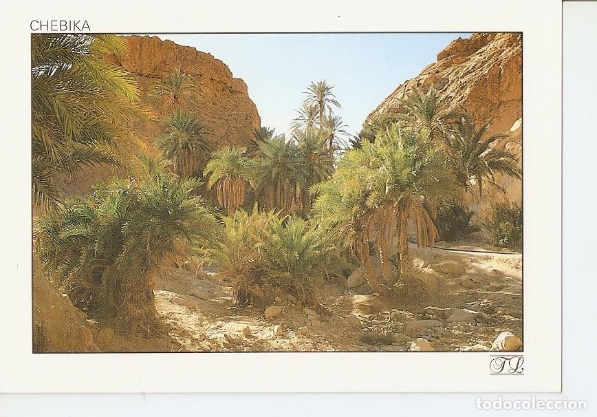 Postkarten: Postal 043165 : Chebika. A corner of Paradise - Varios