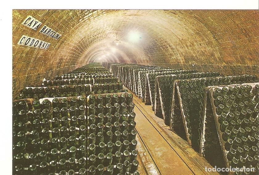 Postales: Postal 043200 : Cavas Codorniu. Botellas en pupitre - Varios