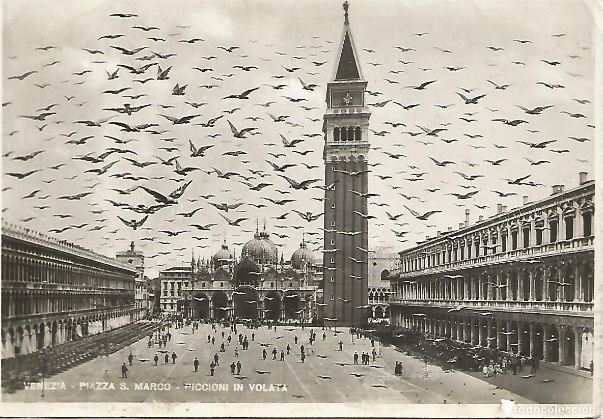 Postales: Postal 51513: VENEZIA - Plaza de San Marco - Varios