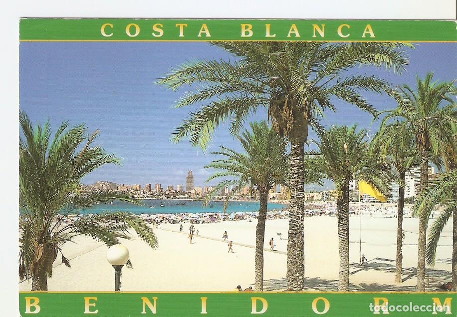 Cartes Postales: Postal 044303 : Costa Blanca. Benidorm. Playa Poniente - Varios