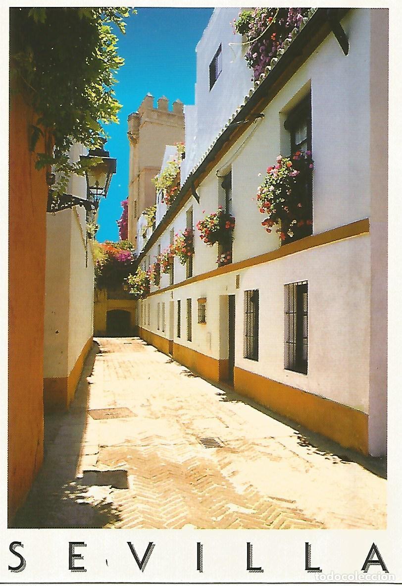Cartoline: Postal 52230: SEVILLA - Calle del Barrio de Santa Cruz - Varios