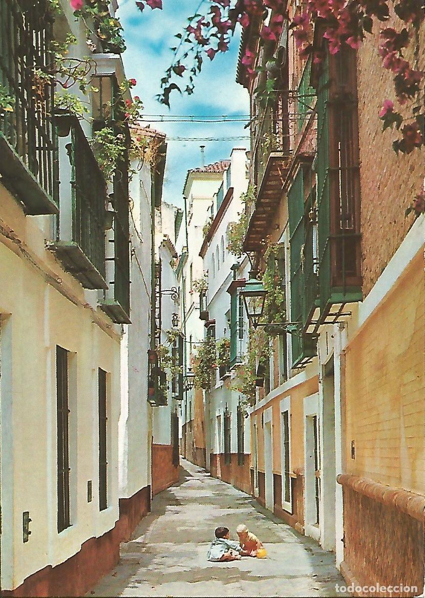 Postcards: Postal 52004: SEVILLA - Barrio de Santa Cruz - Varios