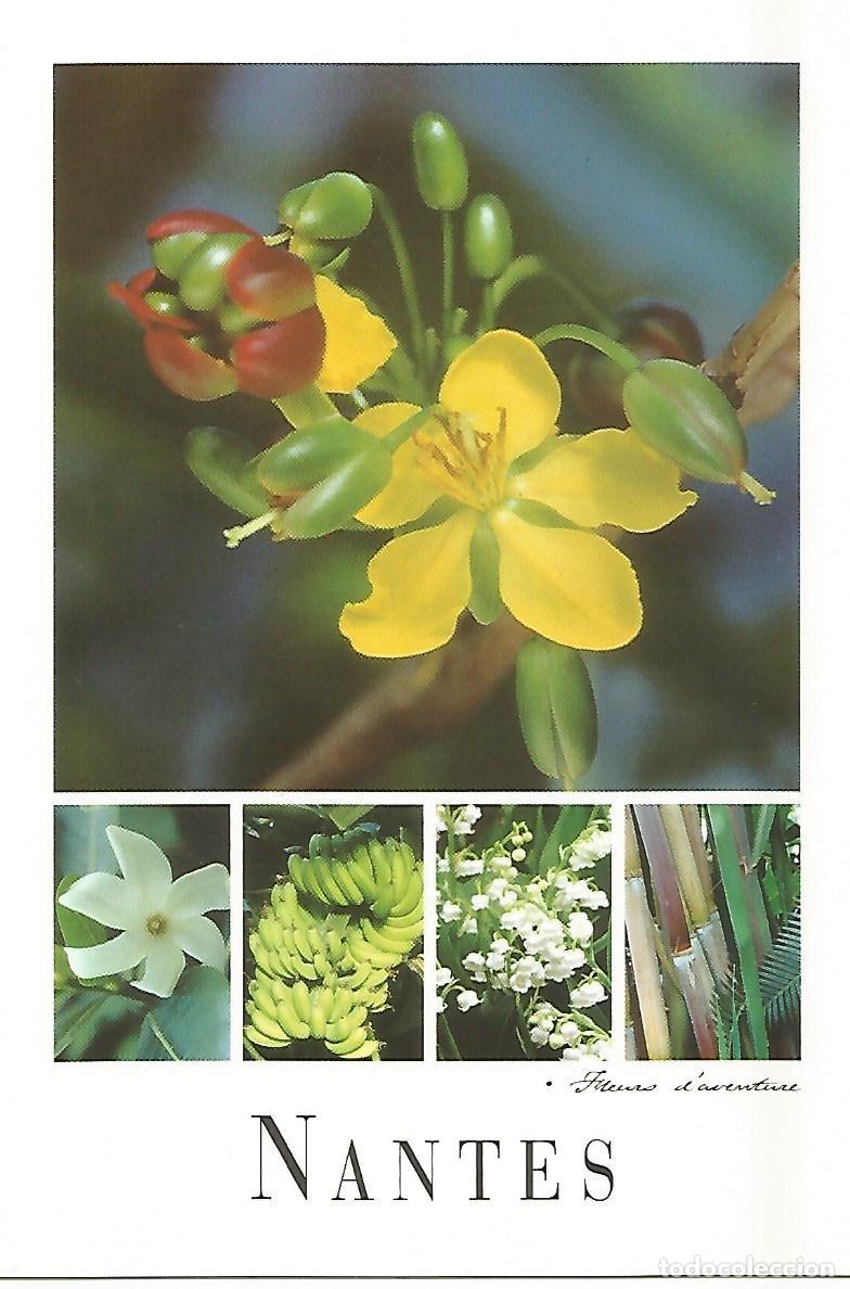 Postcards: Postal 52184: NANTES - Flores - Varios
