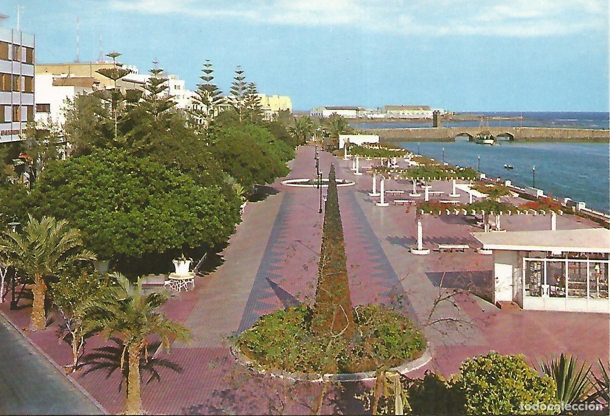 Cartoline: Postal 52293: LANZAROTE - Parque Municipal - Varios
