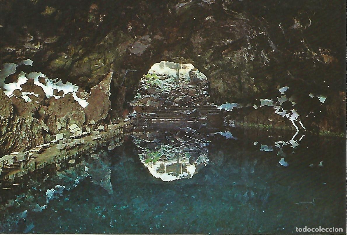 Postais: Postal 52307: LANZAROTE - Los jameos del agua - Varios