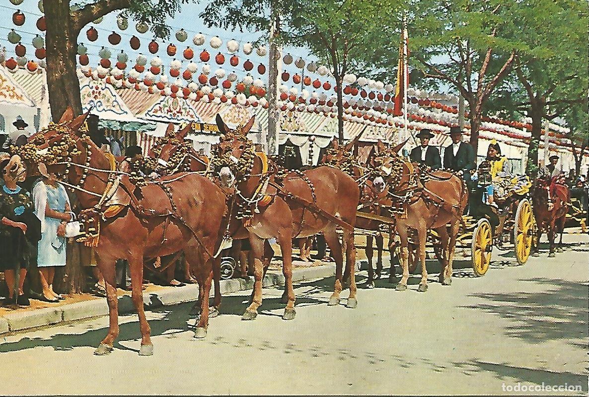 Postais: Postal 52241: SEVILLA - Feria de Abril - Varios