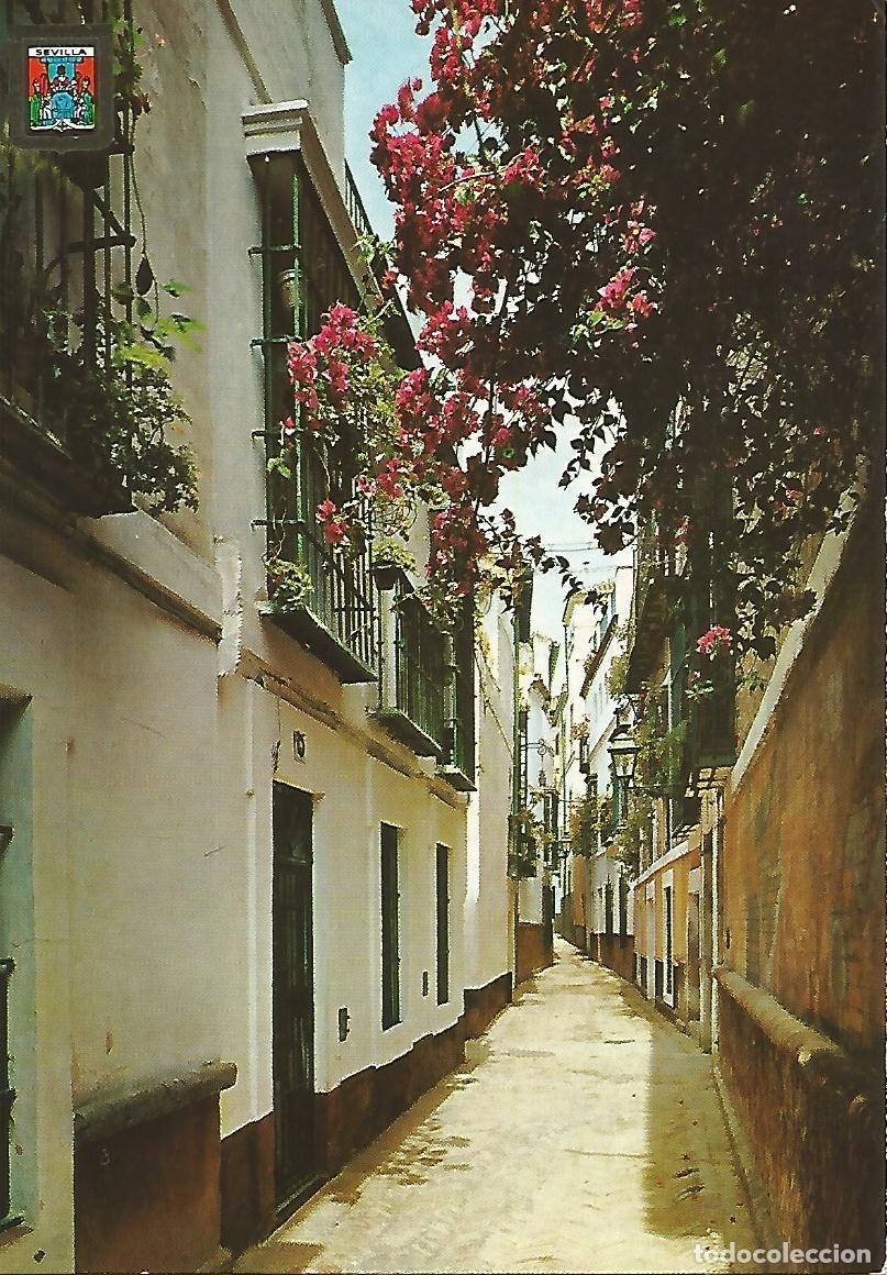 Postkarten: Postal 52357: SEVILLA - Calle de la Pimienta - Varios