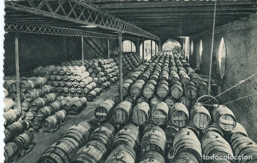 Postales: Postal-Postcard 17294: CASA CODORNIU - Sant Sadurni dAnoia - Barricas en bodega - Varios