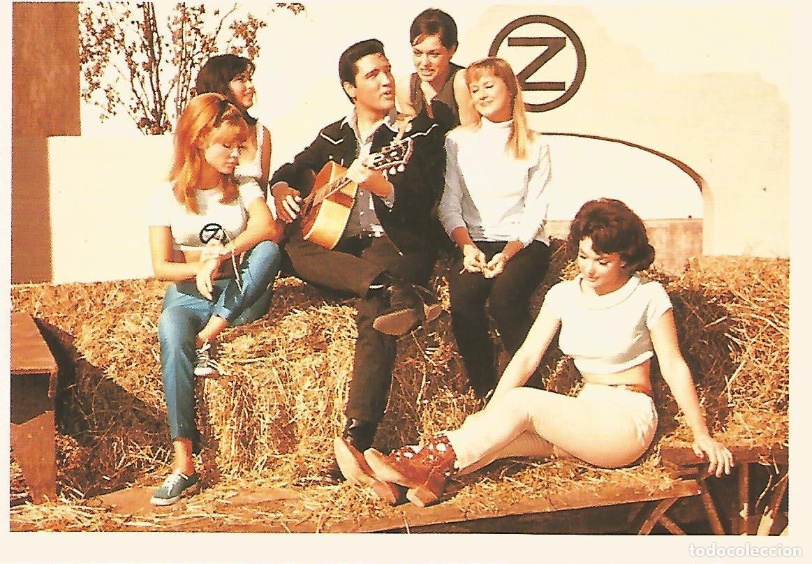 Postales: Postal 52743: ELVIS PRESLEY - Tickle Me MGM 1965 - Varios