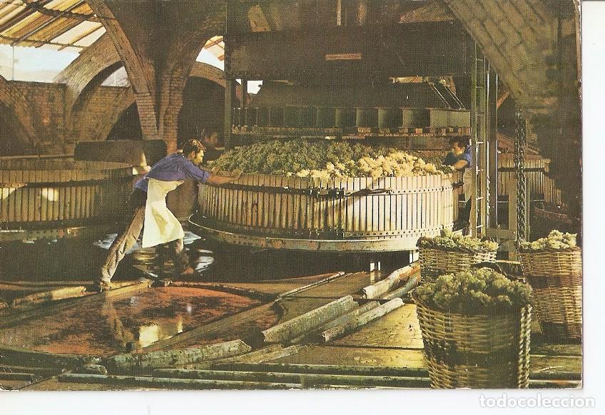 Postales: Postal 044533 : Cavas Codorniu. Prensado de la uva - Varios
