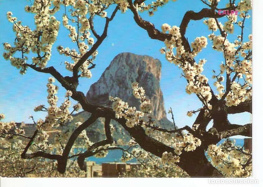Postkarten: Postal 044730 : Calpe (Alicante). Pe&ntilde;on de Ifach a traves almendro en flor - Varios