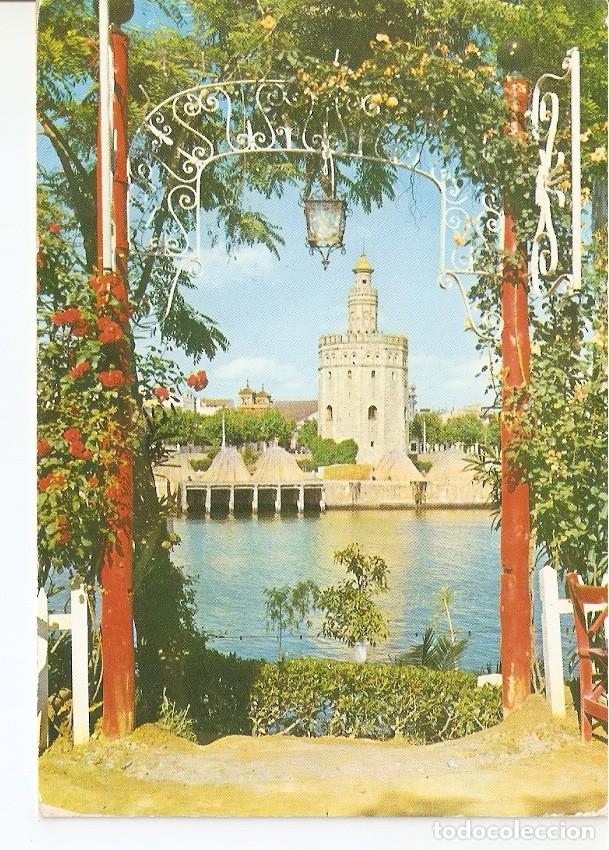 Postales: Postal 044980 : Sevilla. Torre del Oro - Varios - Foto 1