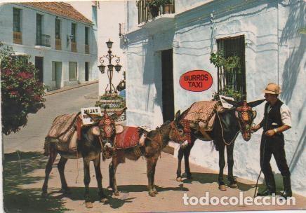 Postales: Postal E00820: Mijas, M&aacute;laga - Varios - Foto 1