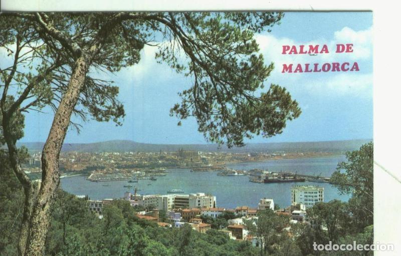 Postales: Postal: Mallorca: Palmar - Varios - Foto 1
