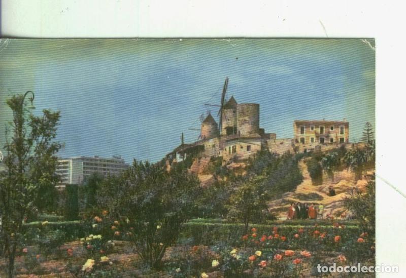 Postales: Postal 4374 : Palma de Mallorca: Jardines del paseo maritimo - Varios