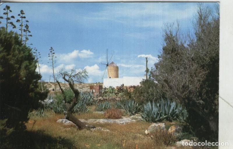 Postales: Postal 4178 : Formentera: Molino tipico - Varios - Foto 1