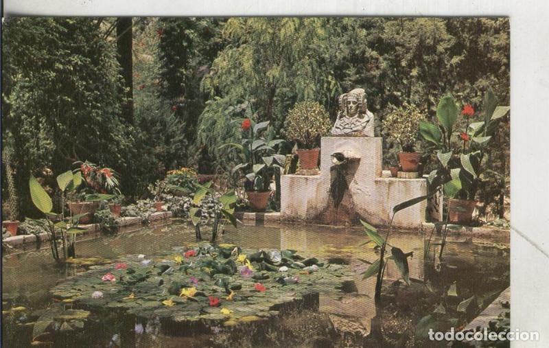 Postkarten: Postal 3920 : Elche: Huerto del Cura: El tocador de la dama de elche - Varios