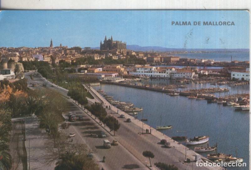 Cartoline: Postal 5942 : Paseo Maritimo, Palma de Mallorca - Varios