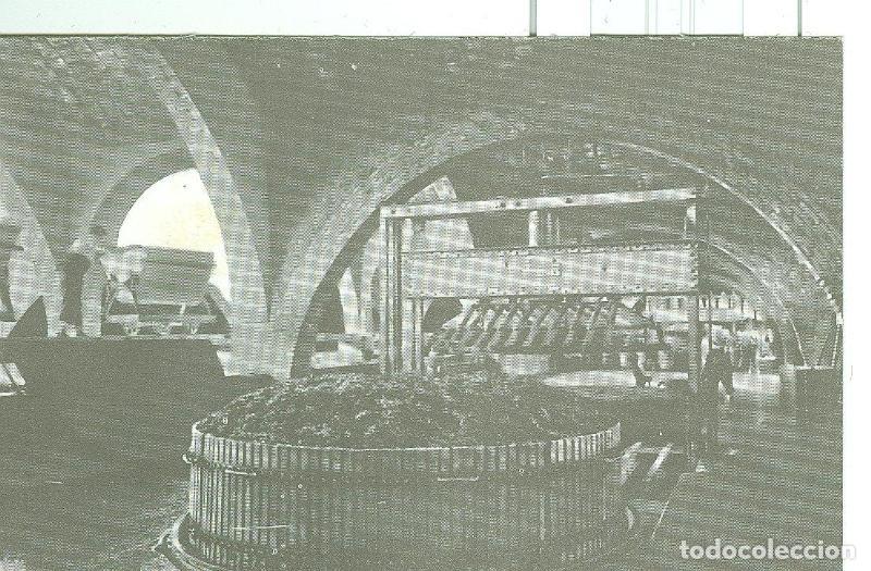 Postales: Postal 6326 : Casa Codorniu modelo numero 02 - Varios