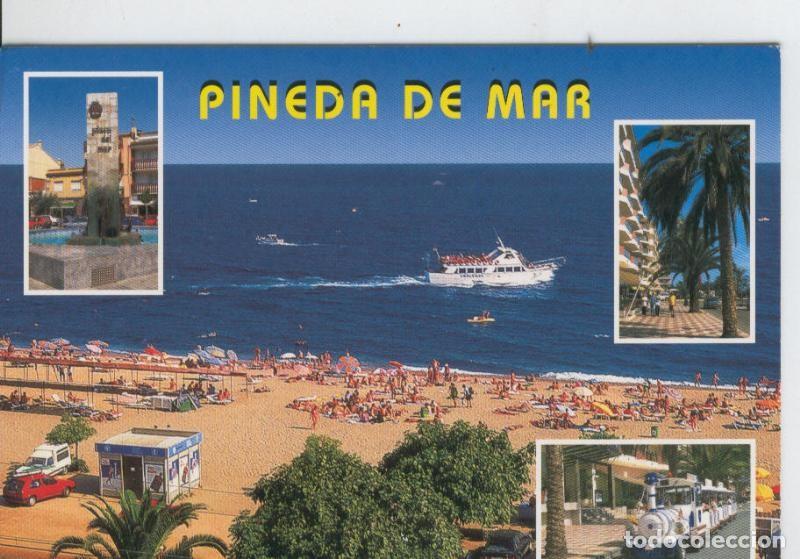 Postais: Postal 7052 : Pineda de Mar: vistas - Varios