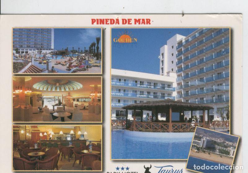 Cartoline: Postal 7053 : Pineda de Mar: Hotel Taurus - Varios