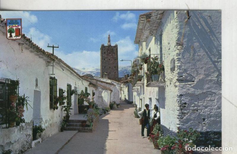Postais: Postal 1019: Granada - Jerez del Marquesado - Varios