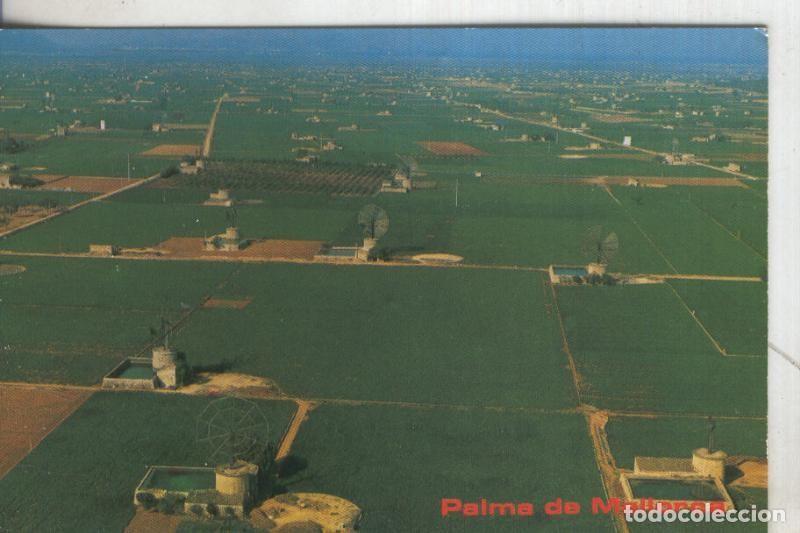 Cartoline: Postal 006032 : Molinos en Mallorca - Varios