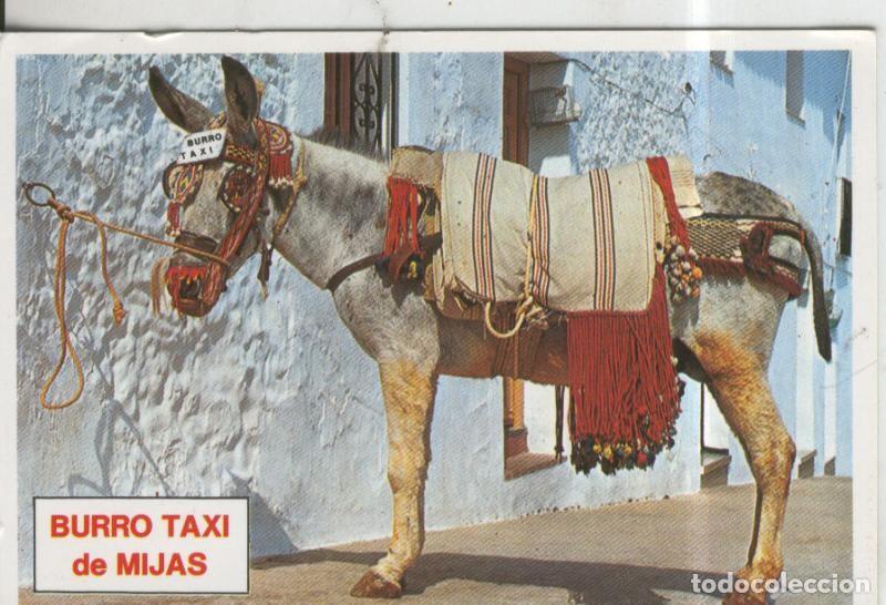 Cartoline: Postal 010415: Burro taxi de Mijas en Malaga - Varios