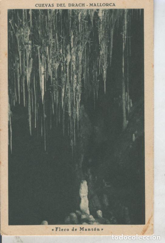Postais: Postal 010859: Fleco de Manton en las cuevas del Drach en Mallorca - Varios