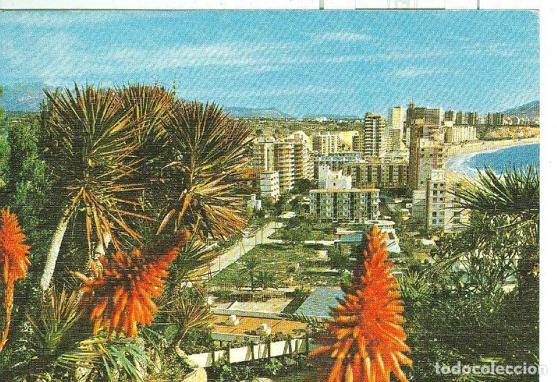 Postales: Postal 006473 : Benidorm - Varios