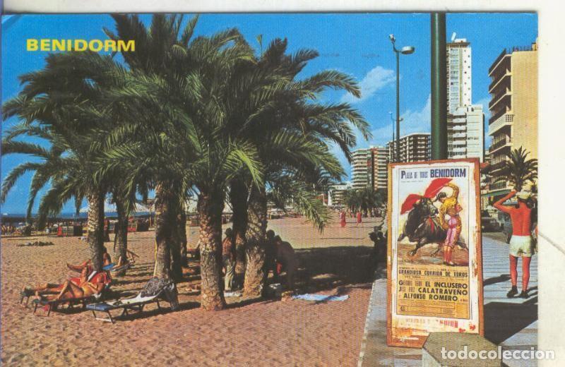 Postales: Postal 005008 : Benidorm - Varios - Foto 1