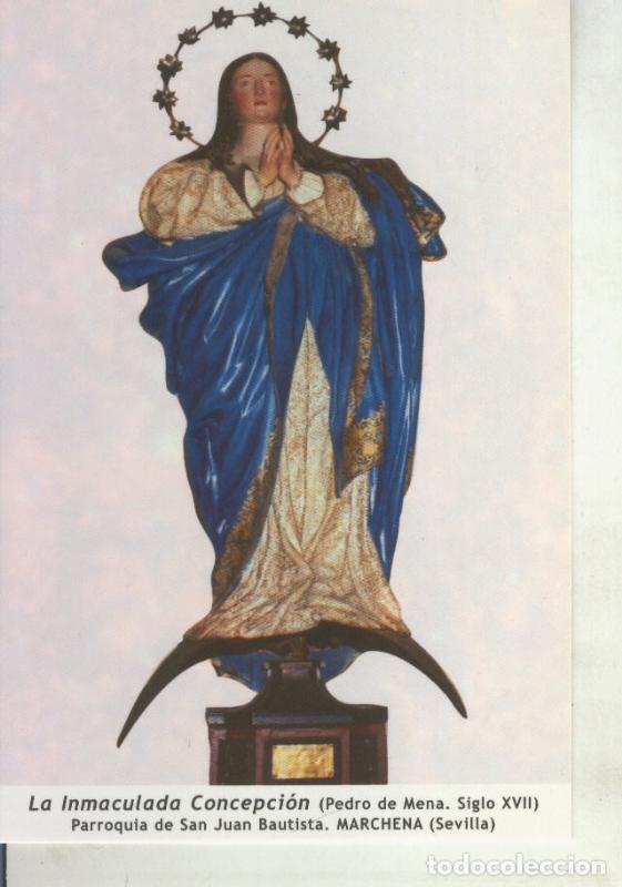 Postcards: Postal 011703: Virgen Ntra Sra la Inmaculada Concepcion, Marchena, Sevilla - Varios