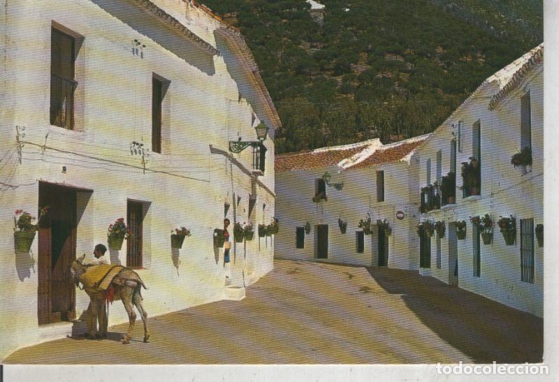Postkarten: Postal 012018: Calle tipica de Mijas, Malaga - Varios