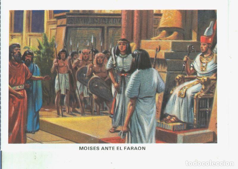 Postkarten: Postal 014529: La Biblia: Moises ante el faraon - Varios