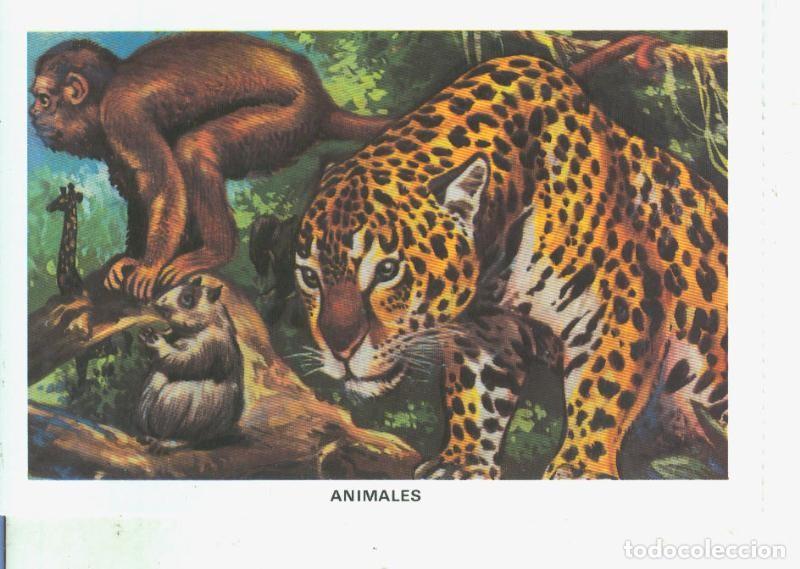 Postales: Postal 014538: La Biblia: Animales - Varios