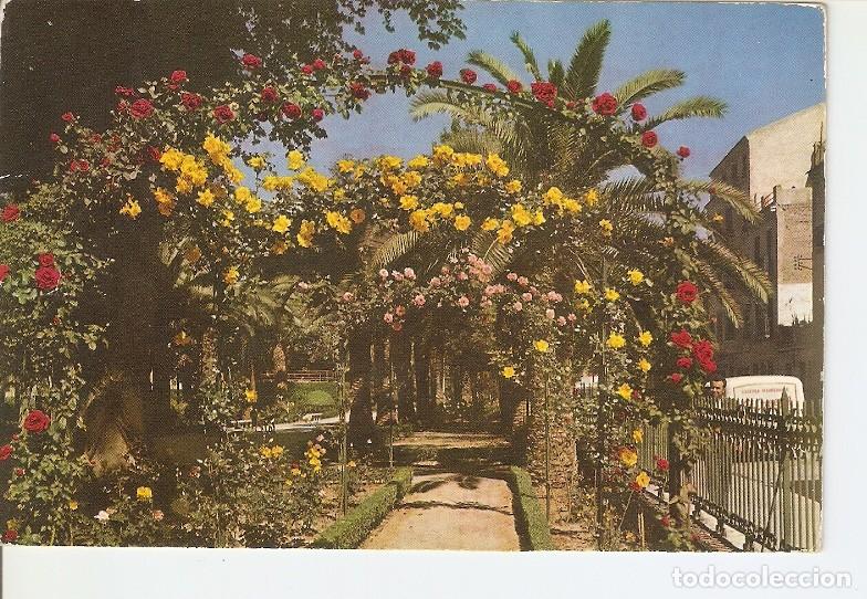 Postkarten: Postal 020129 : Jardin de Floridablanca - Murcia - Varios