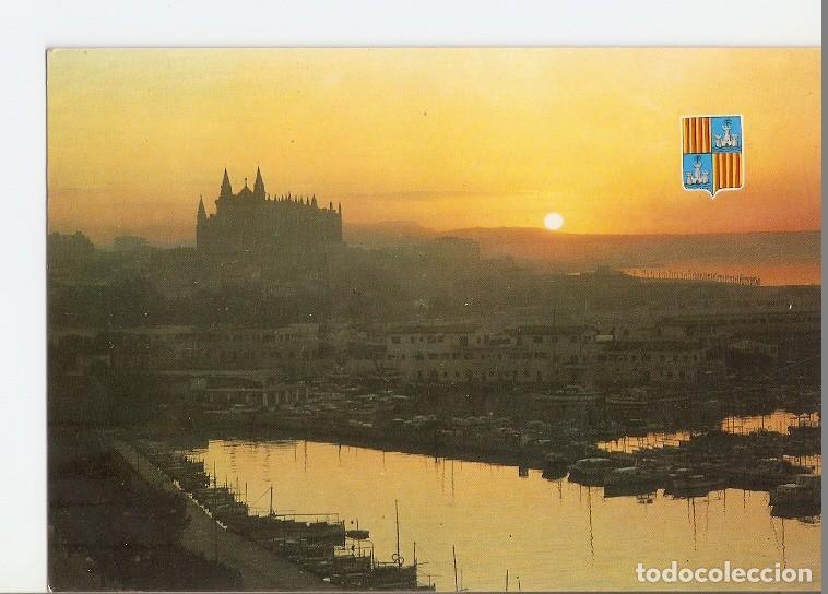 Cartoline: Postal 020436 : Palma de Mallorca - Varios