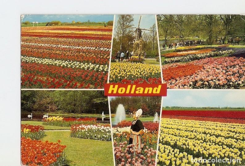 Postkarten: Postal 021163 : Hooland in bloementooi - Varios