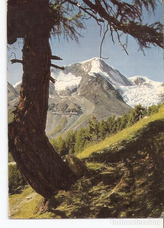 Postkarten: Postal 022439 : Arolla, Valais, le Pigne dArolla - Varios