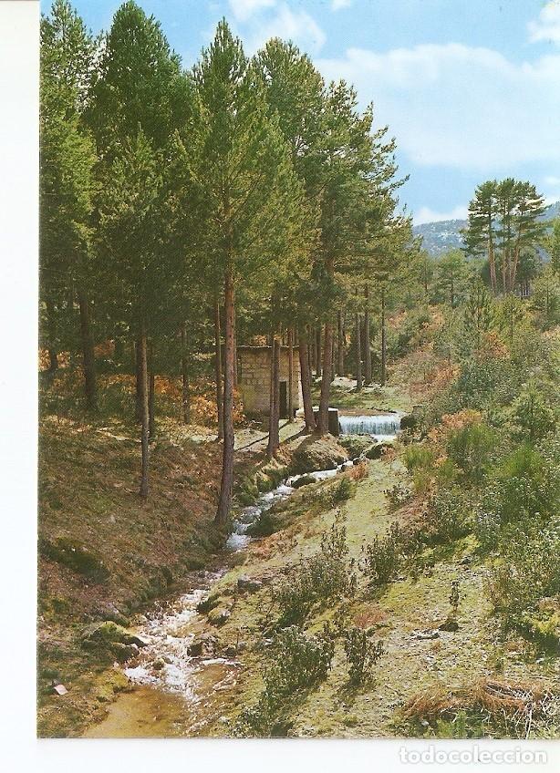 Postcards: Postal 027555 : San Rafael (Segovia), Pinares - Varios