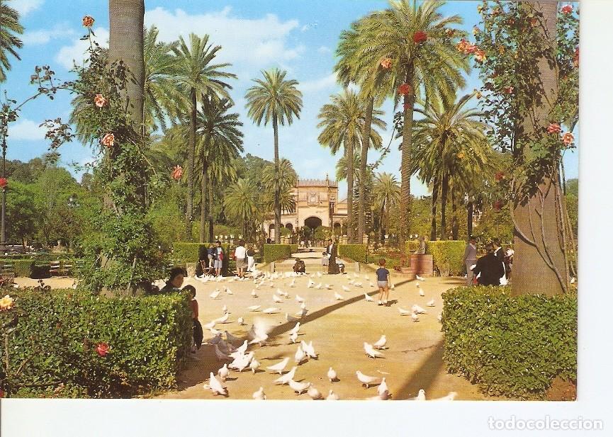 Postales: Postal 027971 : Sevilla, Parque de Maria Luisa - Varios