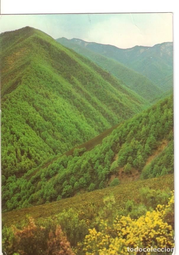 Postcards: Postal 028259 : Bosque de Muniellos Cangas de Narcea (Oviedo) - Varios