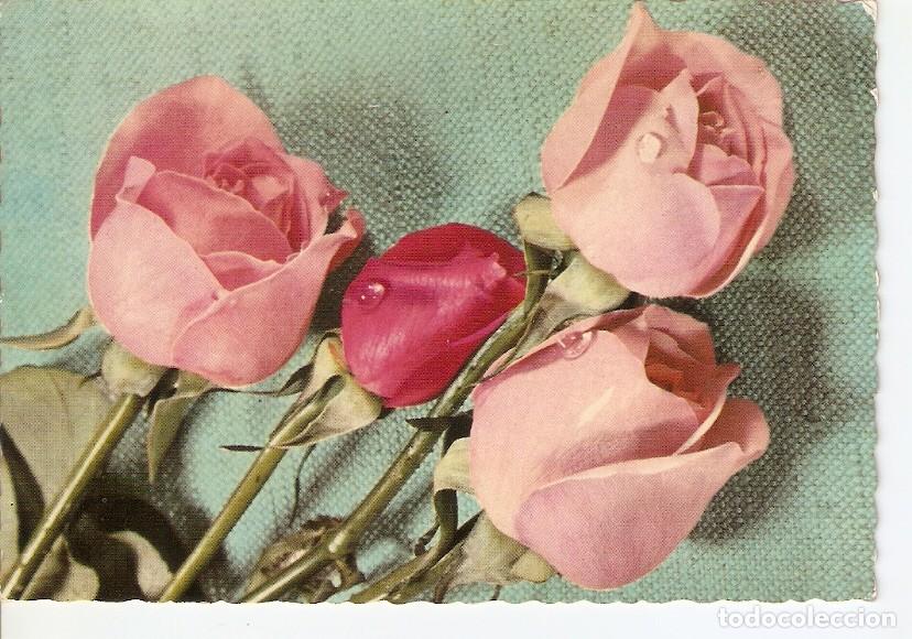 Postales: Postal 028715 : Rosas - Varios - Foto 1